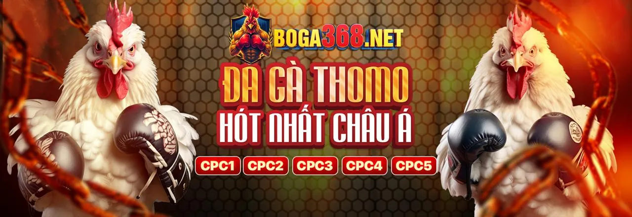 Hình ảnh chiến lược cá cược trực tuyến thành công tại bonusfreebet trang chủ chính thức