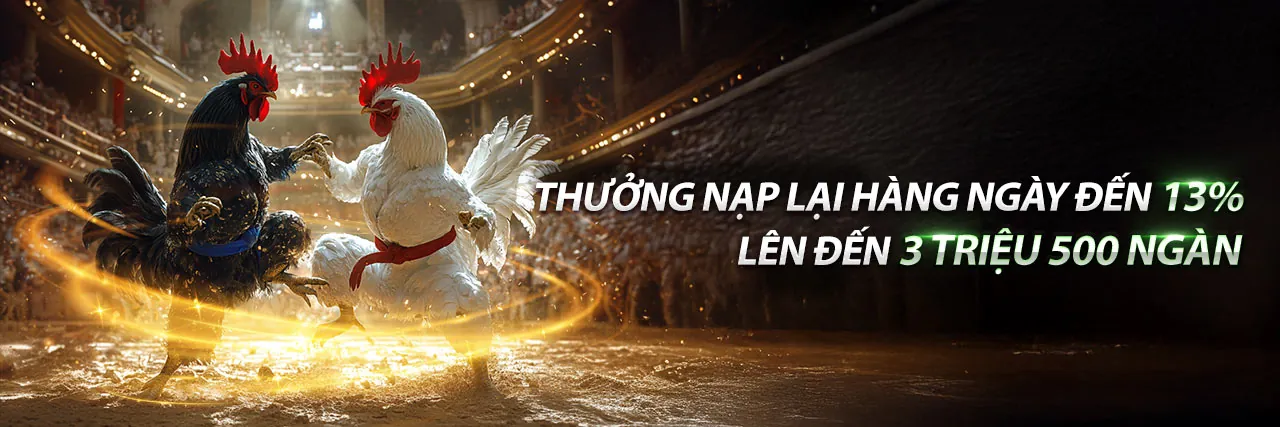 Hình ảnh chính về Cờ bạc có trách nhiệm tại bonusfreebet trang chủ chính thức